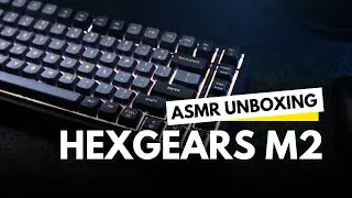 Hexgears M2 ASMR Unboxing & Sound test