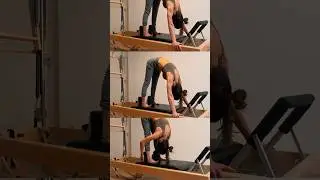 Elephant on the Pilates Reformer! #reformerworkout #classicalpilates #pilates