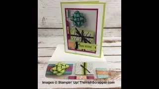 Stampin' Up! Picture Perfect Birthday Episode 235