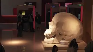 TALKING BRAINS Programados para falar | Exploratório Centro Ciência Viva da Universidade de Coimbra