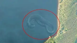 7 загадочных глубоководных существ, обнаруженных в Google Earth