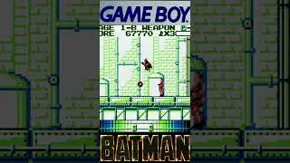 Batman Game Boy Boss 1 GameCube GB Player RGB Capture GBI
