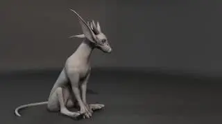 First Quadruped Animation Test