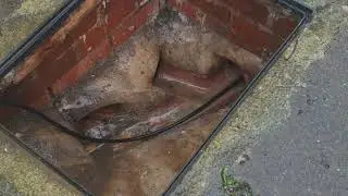 Cleaning drains #blockeddrains #drainmaintenance #sewage