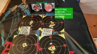 Pellet Test Gamo Pro Hunter vs Wasp Pellets #weihrauch #2025 #airgun #pelletrifle #airrifleshooting