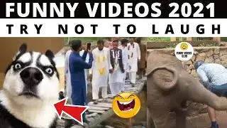 25 most viral videos of 2021|funny tik tok monday funny videos | try not to laugh| Funny Dose