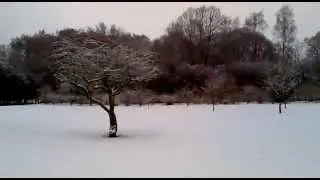 Naerum - Dec 16 - snow