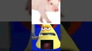Octoy and friends in real life