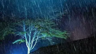 Night Thunderstorm Ambience | Terrible Hurricane Rain on Tin Roof, Intense Thunder & Wind Blowing