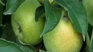 Видеоотчет по VI конференции