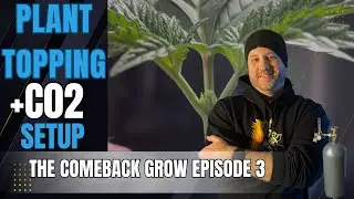 Plant Topping + CO2 Setup for Maximum Yields| Episode 3 The Comeback Grow