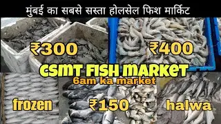 CST Fish Market Mumbai | Wholesale Fish Market | Today Fresh Fish Price | Mumbai Biggest Fish Market