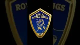 TNPL 2022 : Nellai Royal Kings vs Dindigul Dragons | 7th Match | Results |