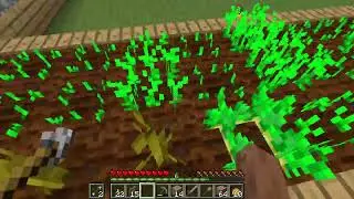 D74【Minecraft JavaEdition】
