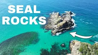 INSANE SPEARFISHING - Seal Rocks Expedition