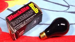 Pipedream 75watt A19 Incandescent Black Light Bulb
