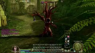 Heroic vs Sorcerer 902 AP kill