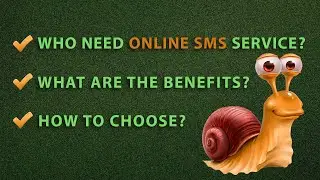 How to choose receive SMS service online