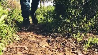 L-Ruso - Tal Vez ❤️ // V&Iacute;DEO LIRYCAL