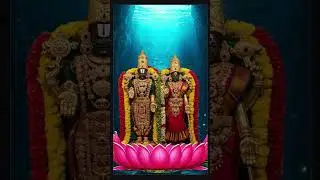🙌Venkateswara Suprabhatam 🚩Venkata Ramana Govinda 🚩 Tirupati Balaji 🙏 #devotionalsongs #venkateswara