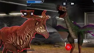 Team MOSASAURUS VS Team ELASMOSAURUS Ep384 @NINIKAKAD