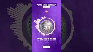 Tequila - Wild Wild Whistle #music #dj #dance #dancemusic #tequila   #trance