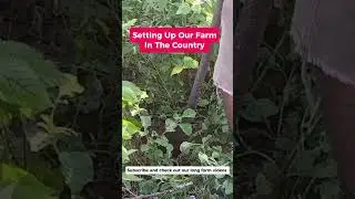 Creating a Dream farm in the country #selfsufficiency #farming #rural #agriculture