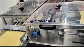Wafer Automated Sorting & Flow packaging Line  #automaticpackaging  #flowwrappingmachine