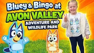 Bluey & Bingo @ Avon Valley Adventure & Wildlife park 