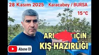 Arıcılara Özel: Kışa Hazırlıkta Mutlaka Yapmanız Gerekenler