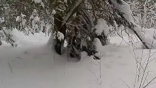 Digma DiCam 880 HD день