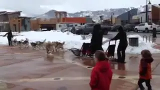 Dog Sled at Newpark Park City Utah