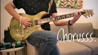 The best chorus riffs with Neunaber Immerse and PRS SE Custom 24 Trampas Green