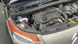 Picasso Good Engine Mount