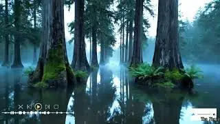 Acoustic Soft Rock Nights-Gentle Guitars and Golden Voices- Forever Across the Sky Ver 4