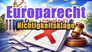 Nichtigkeitsklage, Art. 263 AEUV - Europarecht 21