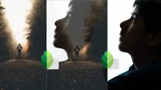 How to edit photo professionally | snapseed photo editing 