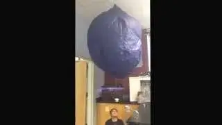 Susie and Carolyn balloon project