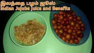 இலந்தை பழம் ஜூஸ் |  Indian Jujube juice In Tamil | Elantha Palam Juice | jujube fruits Benefits