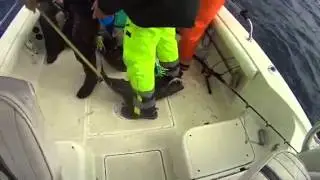 Vid007