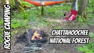 Free Camping - Chattahoochee National Forest