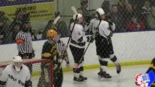 '19 OH Hockey Playoffs Holy Name-St. Edward