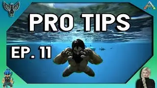 2018 ARK PRO TIPS YOU MAY NOT KNOW ABOUT # 11 ARK SURVIVAL EVOLVED