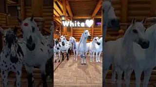 All Of My Star Stable Horses In Sso Star Stable Edit!😱 / Sso Short / Sso Edit #sso #starstable