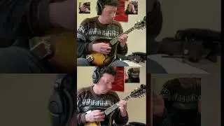 stoner blues mandolin duo 🦙🦙