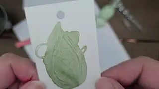 Tinker Bell Ink Review Wearingeul Ink - Cabbage Patch Soap