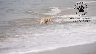 &iexcl; Quien ha tenido el privilegio de ba&ntilde;arse en el mar caribe sabe de qu&eacute; hablamos !