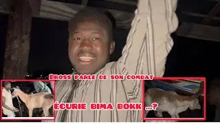 NDANGANE DIRECTION MAR FAFACO EXLUSIVITÉ BROSSE PARLE EN FIN DE SON COMBAT ARÈNE 