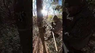 A group of turkeys may very well be as loud as a vehicle driving through the woods!