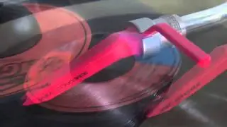 Shatter Nile- Hackle Them Body